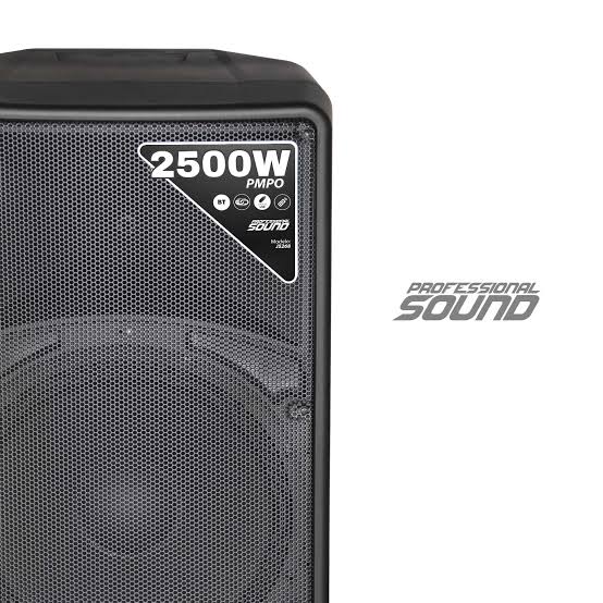 CABINA ACTIVA JYR 12" J5268 150W 3