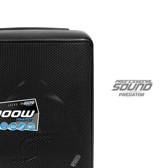 CABINA ACTIVA JYR 8" J5233 150W 3