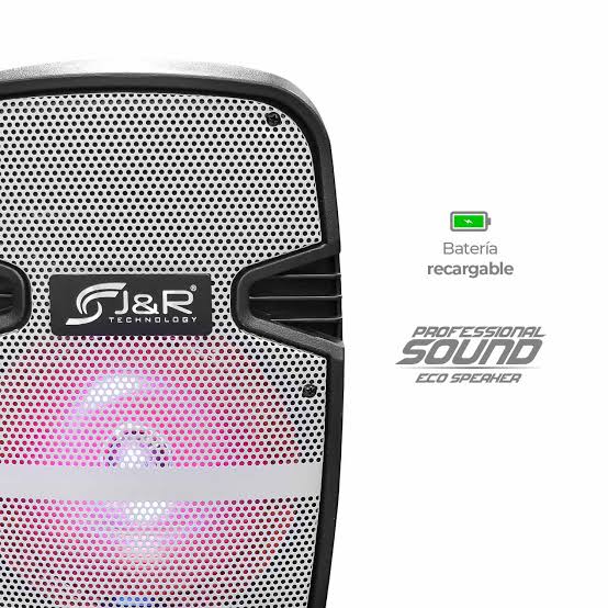 CABINA RECARGABLE JYR 8" J5245 60W 3